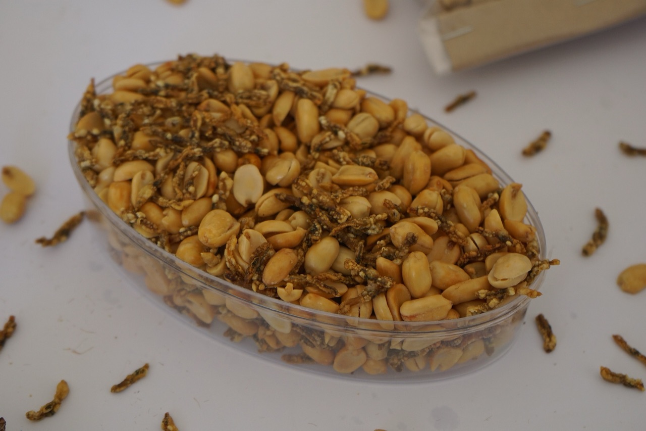 Kotak plastik berisi kacang tanah goreng bercampur lorjuk kering berwarna cokelat