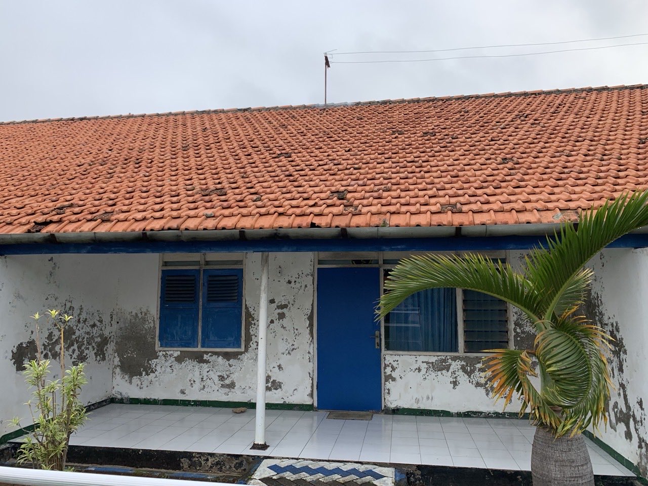 Rumah berdinding putih yang catnya mengelupas dengan pintu biru dan atap genteng merah