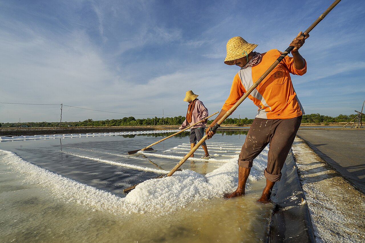 Dua petani garam mengumpulkan garam putih jadi gundukan di petak tambak
