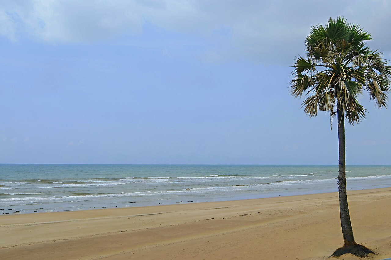 Pohon palem tinggi di tepi Pantai Slopeng menghadap laut